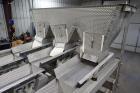 Ss Vibratory Weigh Filler